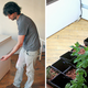 Illustration for article titled Hydroponics Island Lets You Secretly Grow All Kinds of Herbs In Your Kitchen